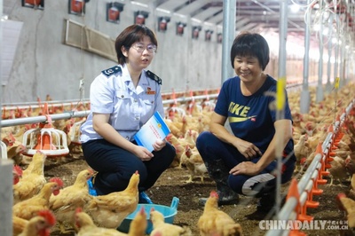 梅州丰顺税务 税惠红利助力乡村振兴，精准服务赋能家禽技术发展