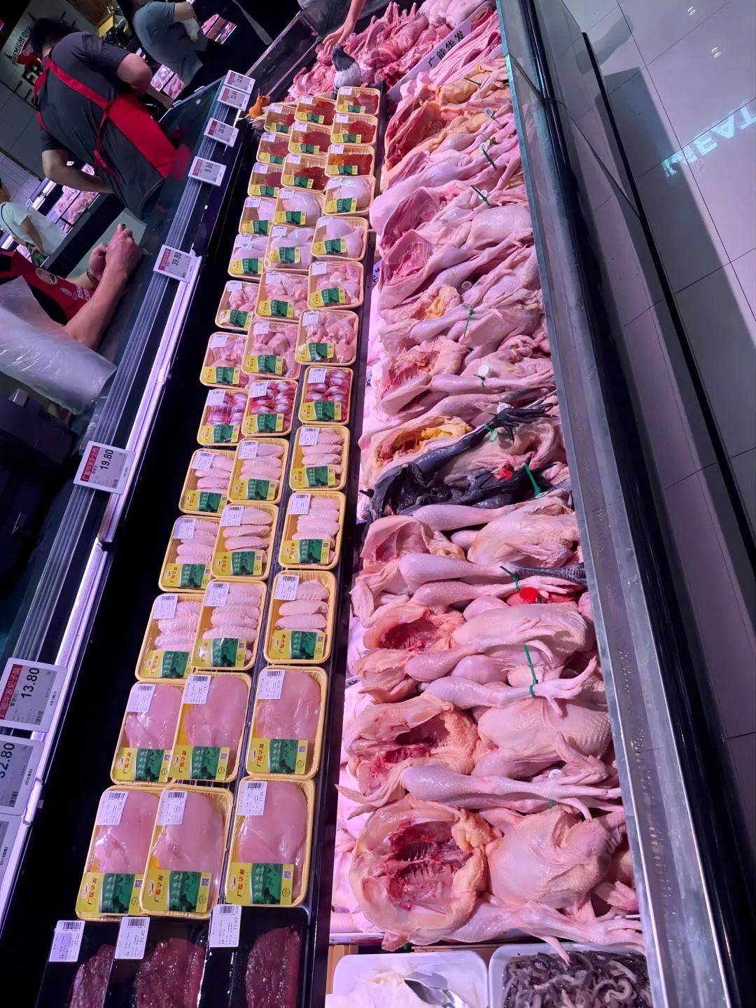 探访湖北孝感广能华发家禽屠宰工厂 家禽技术服务的前沿实践