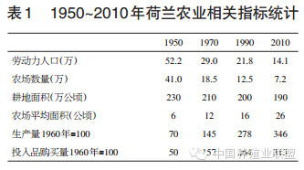 荷兰家禽业发展对我国的启示