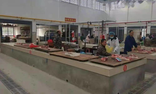 熊河镇育秧工厂订单火爆，科技赋能育秧与家禽技术服务并进